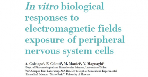 Magnetotherapy in peripheral nerves