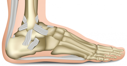 Hilterapia for haemophilic ankle arthropathy 